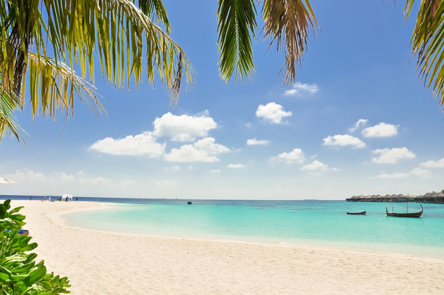 Pantai di Kebumen yang Bagus. Foto hanya ilustrasi, bukan tempat sebenarnya. Sumber: Pexels/Asad Photo Maldives