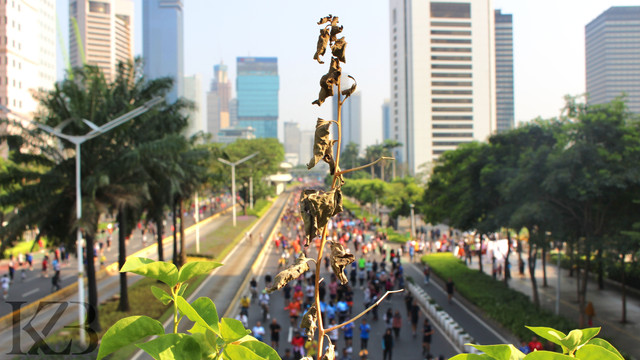 Foto : CFD Sudirman-Thamrin, Archive Foto Pribadi