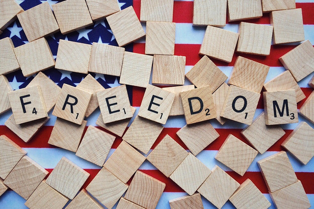 WOKANDAPIX/Pixabay https://pixabay.com/id/photos/kebebasan-demokrasi-amerika-2486201/