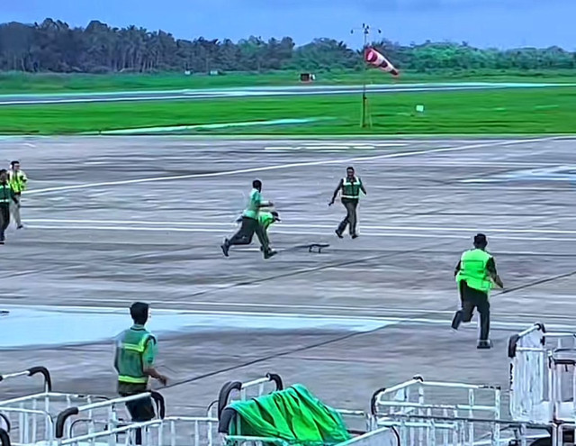 Beberapa petugas bandara sedang menangkap seekor biawak. Foto: Dok. Tiktok @lukmanahmad3547