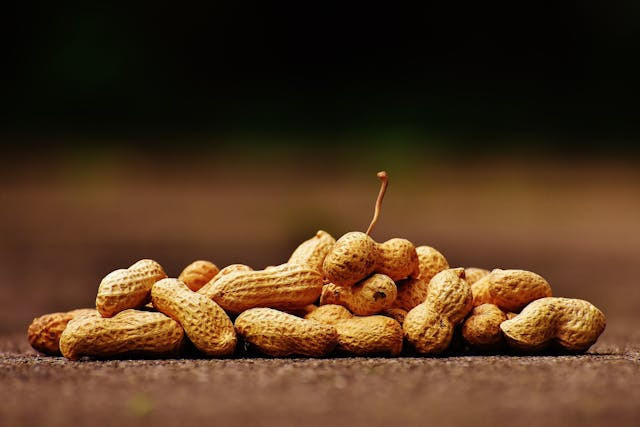 Ilustrasi untuk Cara Merebus Kacang Tanah agar Cepat Empuk. Sumber: Pexels/Pixabay