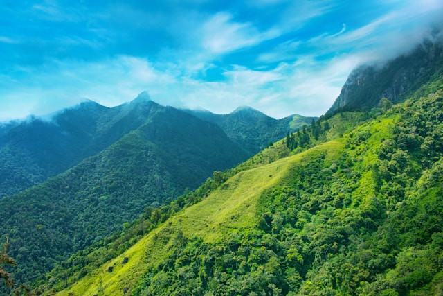 Bukit Kebo. Foto hanya ilustrasi, bukan yang sebenarnya. Sumber: Unsplash/Samantha Weerasinghe