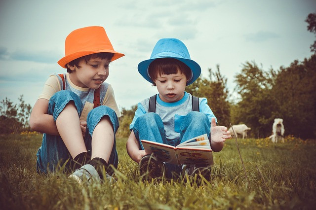 Seorang anak sedang membaca buku . Foto dari: https://pixabay.com/id/photos/anak-laki-laki-anak-anak-membaca-3396713/