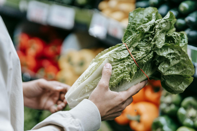 Ilustrasi cara merebus genjer agar tetap hijau. Foto: Pexels.com/Michael Burrows
