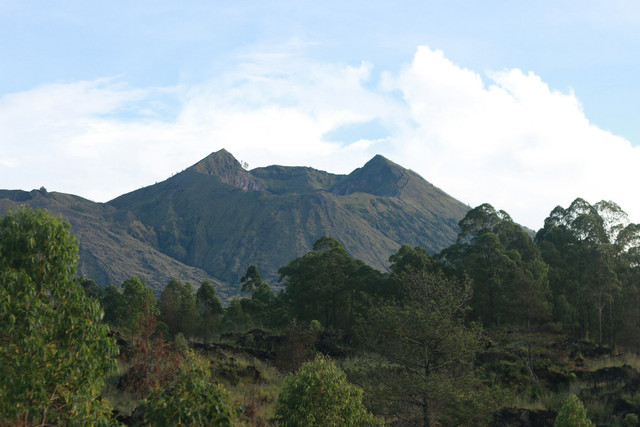 Cara ke Gunung Gede via Putri dari Jakarta, foto hanya ilustrasi, bukan tempat sebenarnya; Unsplash/Gede Pranata
