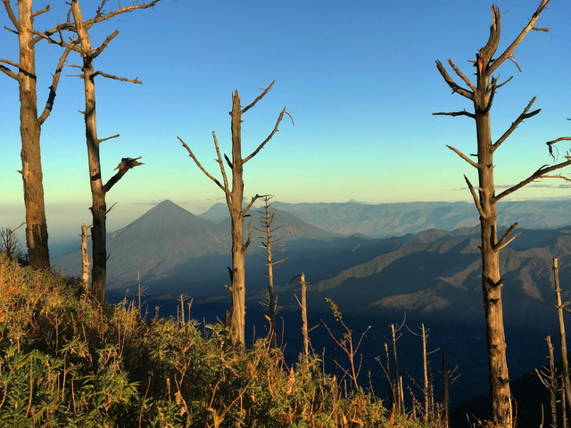 Cara ke Basecamp Wilis via Jurang Senggani. Foto Hanya Ilustrasi, Bukan Sebenarnya. Sumber Unsplash Javier Nunez