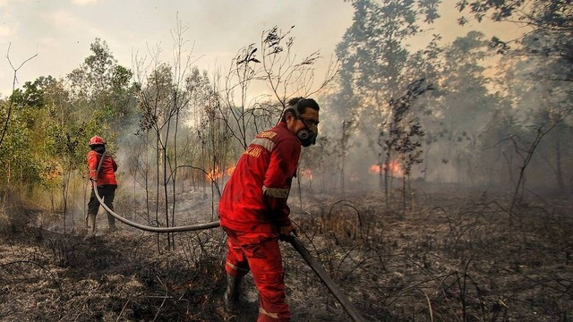 Dua perugas Manggala Agni Daops Sumatera XVI/Banyuasin berjibaku memadamkan api yang membakar lahan di Desa Bakung, Inderalaya Utara, Kabupaten Ogan Ilir, Sumatera Selatan.Kamis (31/8/2023) Foto: ary priyanto/urban id