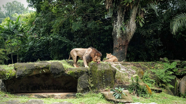 Wisata di Jawa Barat Rating Tertinggi, Foto Hanya Ilustrasi, Bukan Gambar Sebenarnya, Sumber Foto: Unsplash/ Ramona