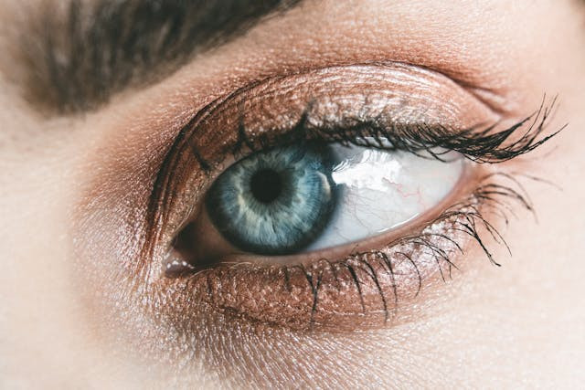 Ilustrasi Cara Menebalkan Bulu Mata dan Alis. Sumber: Pexels/Fotios Photos