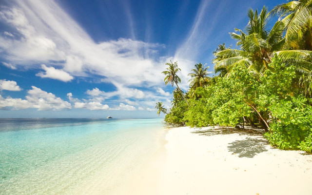 Pantai Sendiki. Foto hanya ilustrasi, bukan sebenarnya. Sumber: pexels.com/Asad Photo Maldives