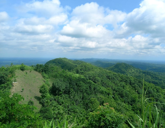 Bukit Jipang. Foto hanyalah ilustrasi bukan tempat sebenarnya. Sumber: Unsplash/Abrarul Haque