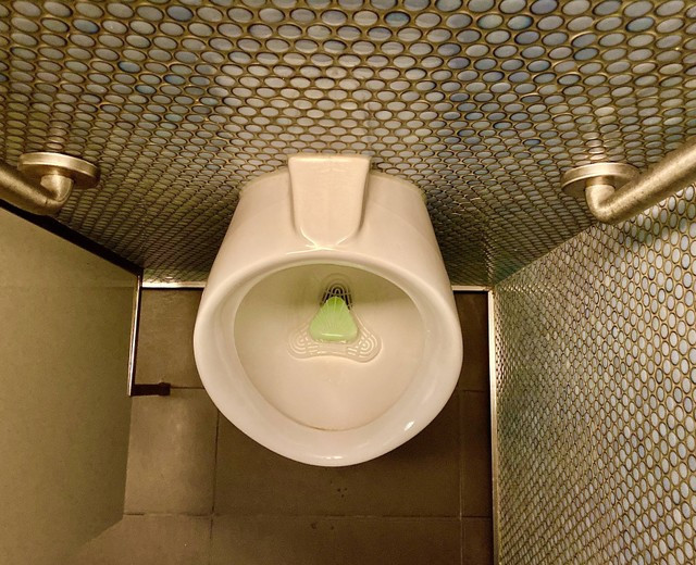 Ilustrasi Cara Mengatasi WC Mampet. Unsplash/Ian Kirkland