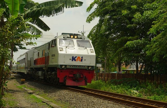 Ilustrasi Rute Kereta Blambangan Ekspres 2025 Sumber Unsplash/Muhammad Arief