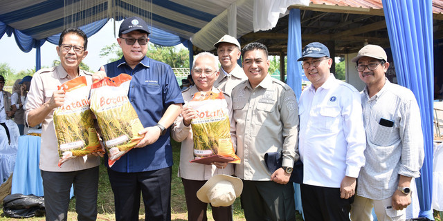 Rektor IPB Dorong Periset Padi Terus Berinovasi, Berharap Tambah Varietas Baru