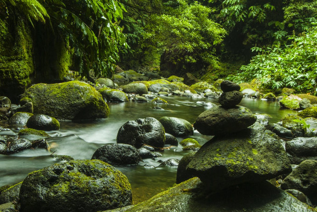 Umbul Jumprit Temanggung. Foto hanya ilustrasi, bukan tempat sebenarnya. Sumber: Pexels/Pixabay