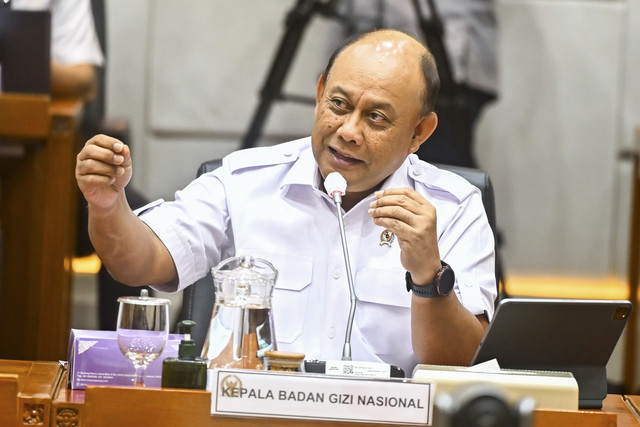 Kepala Badan Gizi Nasional Dadan Hindayana memberikan paparan saat mengikuti rapat dengar pendapat dengan Komisi IX DPR di Kompleks Parlemen, Senayan, Jakarta, Selasa (6/5/2025) Foto: Rivan Awal Lingga/ANTARA FOTO