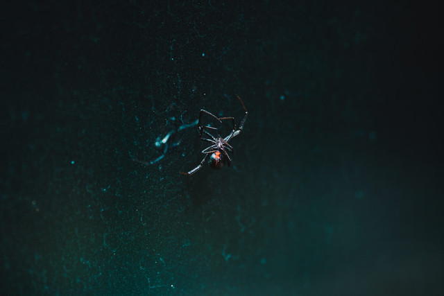 Ilustrasi Film Thunderbolts tentang Apa? | Unsplash/Jared Subia