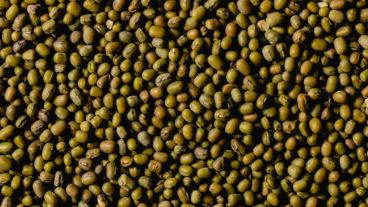 Ilustrasi Cara Merebus Kacang Hijau agar Cepat Empuk,Foto:Pexels/Eva Bronzini