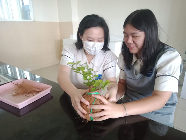 Pembuatan Kokedama (Dokumentasi Pribadi)