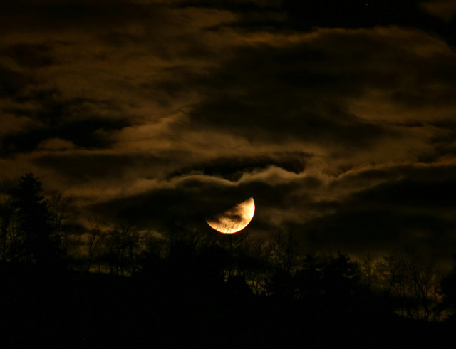 Ilustrasi Sinopsis Night of Deception, Pexels/Deklanşör 67