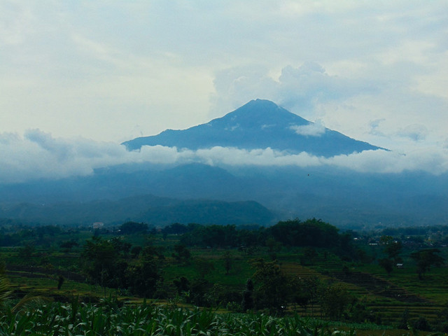 Fakta menarik Gunung Lawu. Foto hanya ilustrasi bukan tempat sebenarnya. Sumber: Unsplash/Fakhrir Amrullah