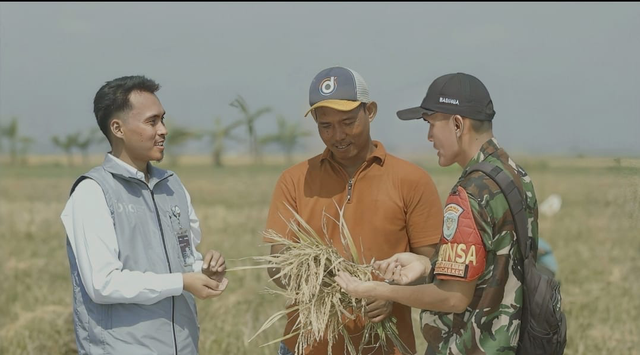 Tim Jemput Gabah Perum Bulog saat membeli gabah padi dari petani. Foto: Dok. Bulog