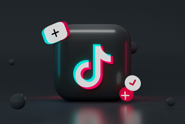 Ilustrasi daftar lagu connie francis yang viral di tiktok - Sumber: unsplash.com/@maria_shalabaieva