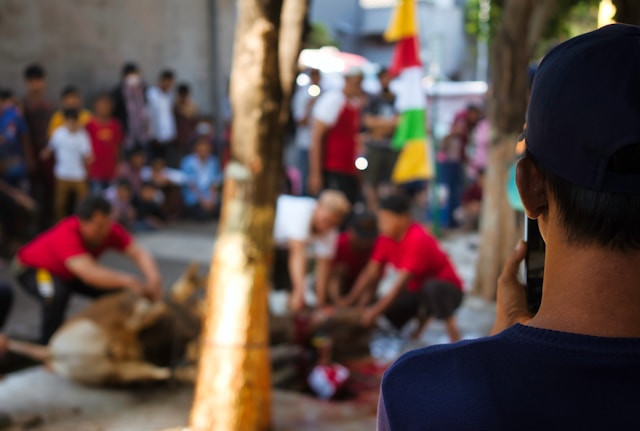 Ilustrasi: tugas panitia qurban idul adha, Photo by Fauzan on Unsplash