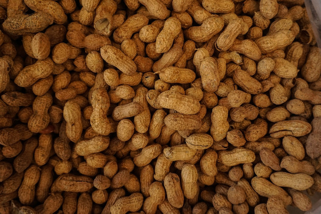 Ilustrasi Cara Merebus Kacang Tanah agar Cepat Empuk, Foto: Unsplash/Tom Hermans