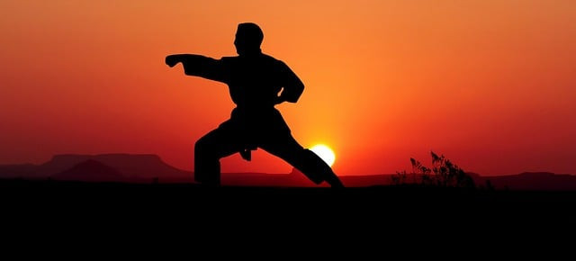 Ilustrasi karate kid: legends kapan tayang. Pixabay/rauschenberger.
