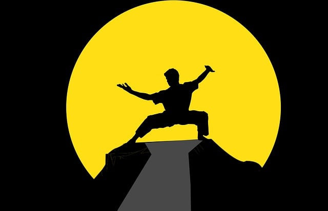 Ilustrasi sinopsis karate kid: legends. Pixabay/Mohamed_hassan.