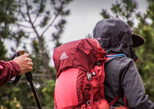 jalur pendakian gunung sumbing. Foto Hanya Ilustrasi Bukan Tempat Sebenarnya. Sumber Foto: Pixabay/rottonara