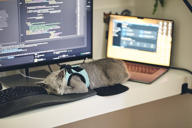 Pekerjaan Remote yang Menghasilkan Uang. Foto Hanya Ilustrasi, Bukan Sebenarnya. Sumber Foto: Unsplash.com/John Moeses Bauan