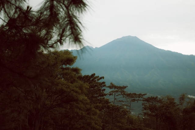 tiket masuk Gunung Puntang 2025. Foto hanyalah ilustrasi bukan tempat sebenarnya. Sumber: Unsplash/Raka Rahmadani