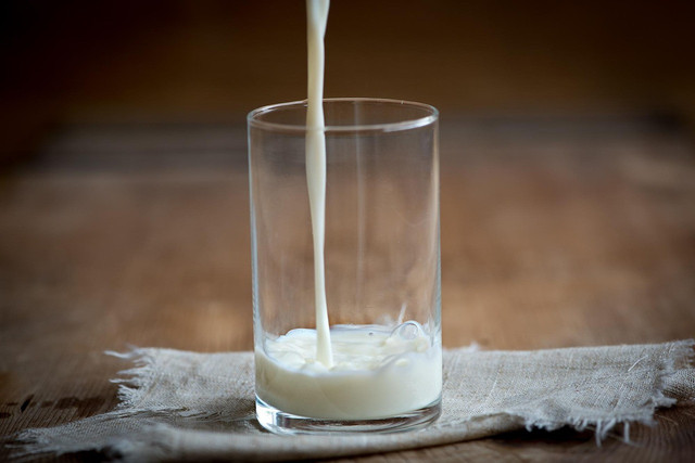 Ilustrasi susu bulking terbaik. Sumber: Pixabay/Pezibear