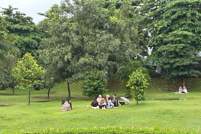 Suasana Hutan Kota GBK, Jakarta Pusat pada Minggu (11/5/2025). Foto: Abid Raihan/kumparan