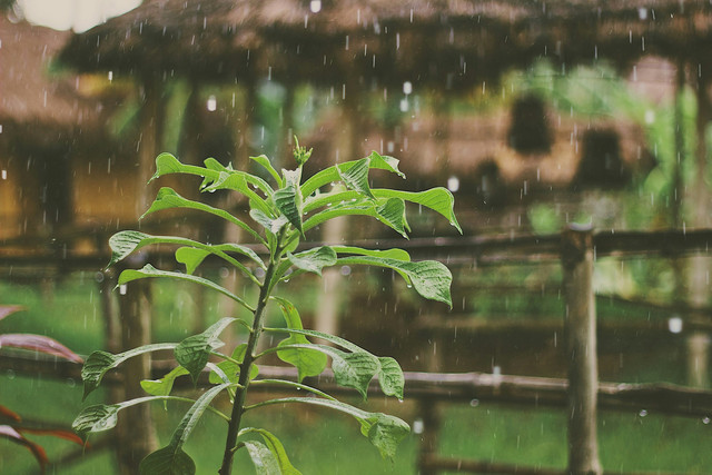 Ilustrasi Doa Meminta Hujan, sumber gambar: Unsplash/Mike Kotch