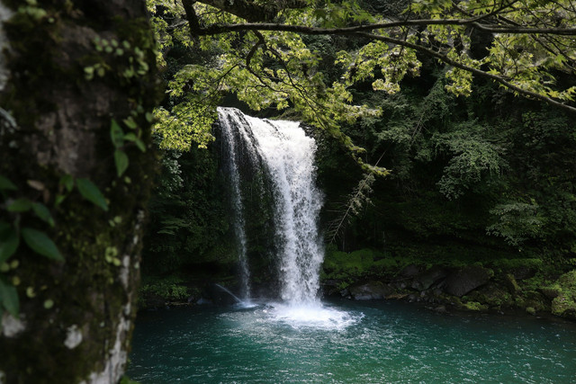 Air Terjun Tegenungan. Foto hanya sebagai ilustrasi, bukan tempat sebenarnya. Sumber foto: Unsplash-SLNC