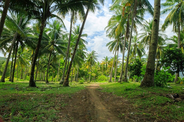 Wisata Trenggalek selain pantai. Foto hanyalah ilustrasi, bukan tempat yang sebenarnya. Sumber: Unsplash/Naufal Diwana