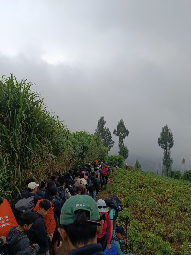 Suasana jalur pendakian antara Pos 2 dan Pos 1 Gunung Prau Bescamp Patak Banteng, tampak padat oleh pendaki yang turun. Foto diambil oleh penulis saat perjalanan turun