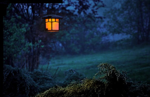 Ilustrasi Mitos Bersiul di Malam Hari, Foto: Pexels/Pixabay