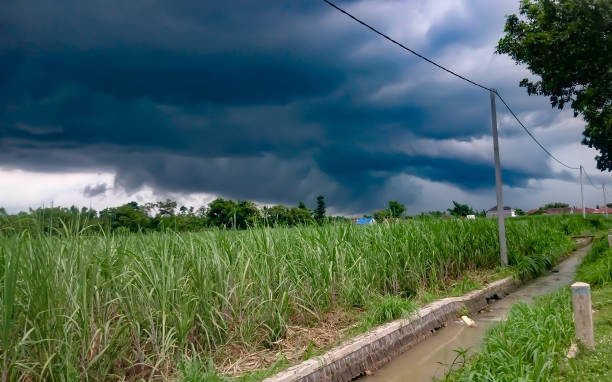 https://www.istockphoto.com/en/photo/cloud-before-rain-gm1162906846-319143021