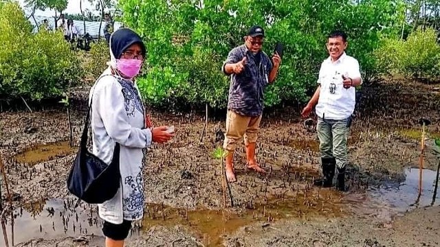 Kemendes dan Kelompok Tani Hutan tanam bibit mangrove di Donggala. Foto: Istimewa