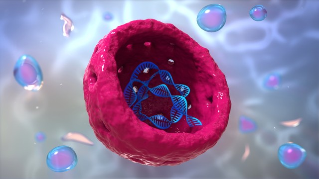 Ilustrasi sebuah sel DNA. Foto: urfin/Shutterstock