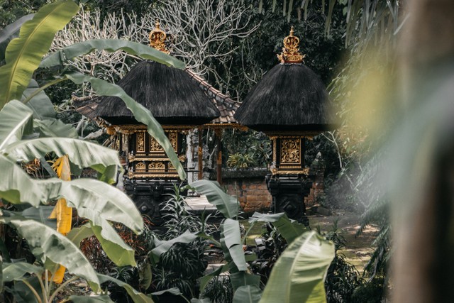 https://unsplash.com/@p_kuzovkova - nama rumah adat bali