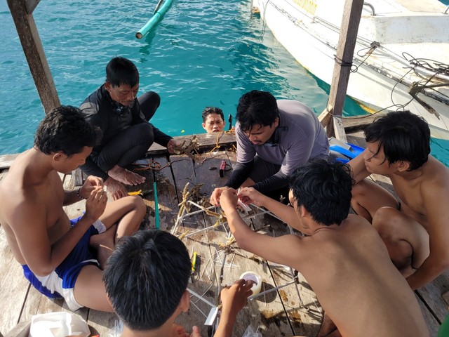 Kegiatan rehabilitasi atau transplantasi terumbu karang yang dilakukan Itera di Teluk Kiluan, Kabupaten Tanggamus, Lampung, Kamis (10/3) | Foto : Ist