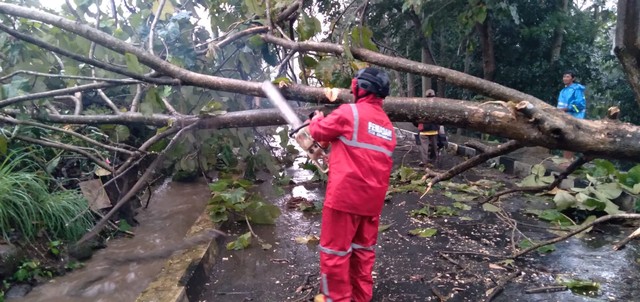 Kejadian pohon tumbang di Kabupaten Kuningan, Jawa Barat, membuat akses jalan penghubung antar desa tertutup. (Foto: Damkar Kuningan)