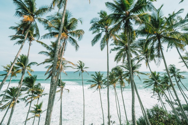 Pantai Baru di Jogja, Foto: Pexels/ROMAN ODINTSOV