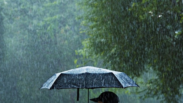 Ilustrasi hujan adalah rahmat. Foto: shutterstock.com