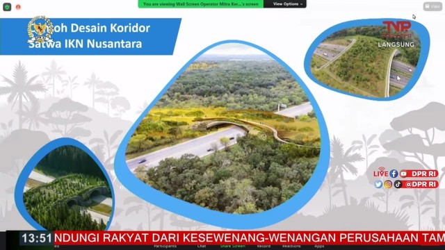 Kementerian LHK Ungkap Desain Koridor Satwa Di IKN, Ada Jembatan Untuk ...